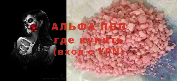 гашик Арсеньев