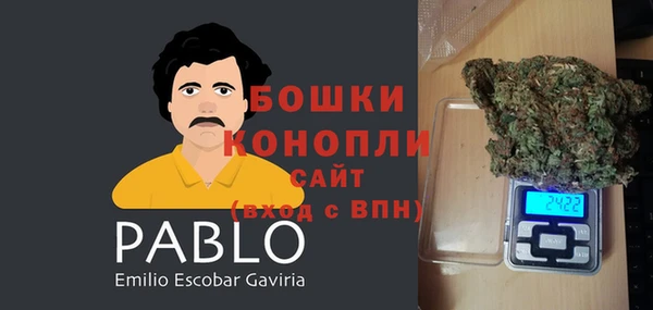 гашик Арсеньев