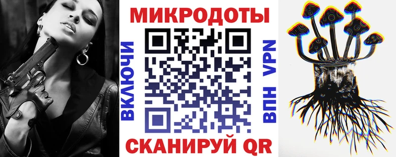 Галлюциногенные грибы Psilocybe  дарк нет Telegram  Лаишево 