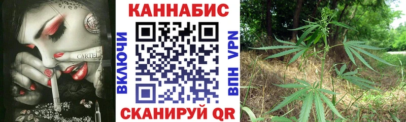 mega рабочий сайт Лаишево Канабис сатива